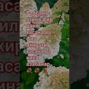 Раббана Атина Фид Дунья Хасанатан