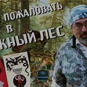 Книжный Лес