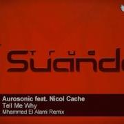 Tell Me Why Feat Nicol Cache Mhammed El Alami Remix Aurosonic