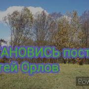 Остановись Постой Орлов
