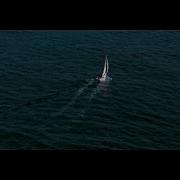 Cj Stone Into The Sea