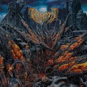 Traumatomy Feeding Organism