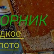 Инстасамка Сборник