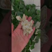 Букет Яблоневых Цветов