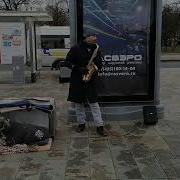 Собака С Саксофоном