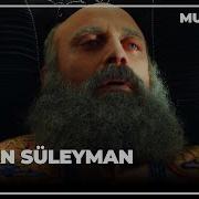 Sultan Süleyman Olumu