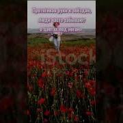 Как Часто Мы Порой Не Замечаем