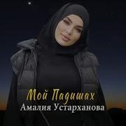 Амалия Мой Падишах Скачать