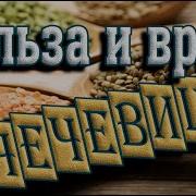 Чечевица