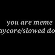 You Are Meme Slowed