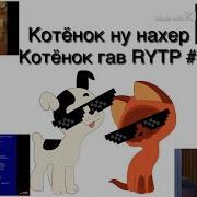 Котенок Гав Ритп