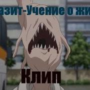 Аниме Клипы Паразит Учение О Жизни