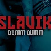 Slavik Dumm Dumm