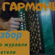 Журавли На Гармони