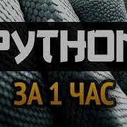 Сборник Песен Студии Питон