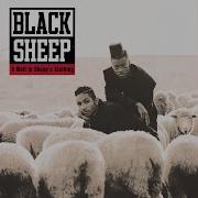 Pass The 40 Black Sheep