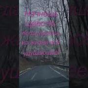 Моя Дорога Нелегка Шуфутинский