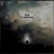 Pod The Awakening