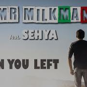 Mr Milkman Feat Sehya When You Left Italo Disco 2023