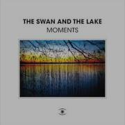 The Swan And The Lake Waiting For Spring