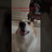 Па Пи Па Пи Бойс