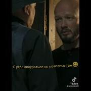 Пёс Прямой В Челюсть