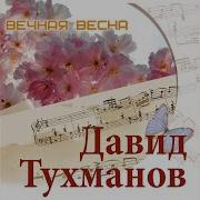 Элегия Тамара Гвердцители