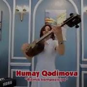 Pink Panther Klip Humay Qedimova