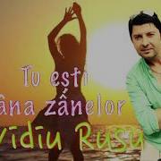 Tu Esti Zana Zanelor Ovidiu Rusu Live Full Video