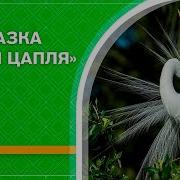 Н Телешов Белая Цапля И Другие Сказки