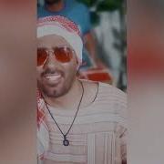 Mohammad Bahrami 2023