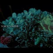 Voice Feat Kiyoharu Sugizo