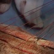 Геи Скрытый Массаж Лесбиянки