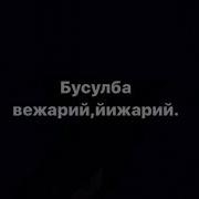 Ма Бусулба Вежарий