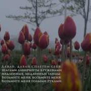 Медленные Танцы Мумий Тролль