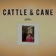 Cattle Cane Golden