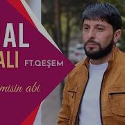 Hazirmisin Abi