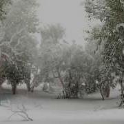 Paul Mauriat Tombe La Neige