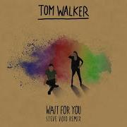 Wait For You Tom Walker Steve Void