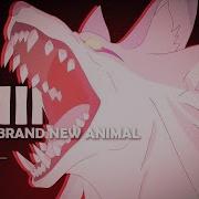 Brand New Animal Animals Amv