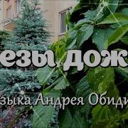 Слезы Дождя Музыка Андрея Обидина