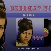 Nebahat Yıldız