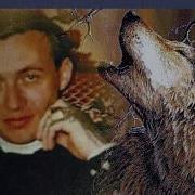 Андрей Крыл