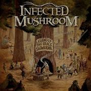 End Of The Road Infected Mushroom