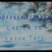 Кот Который Любил Книги