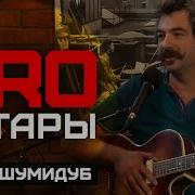 Л Шумидуб Гитара