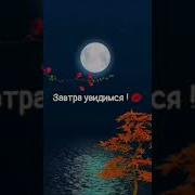 Для Любимого Спокойной Ночи