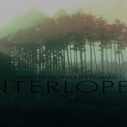 Interloper Carbon Based Lifeforms