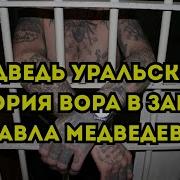 Вор В Законе Медведь