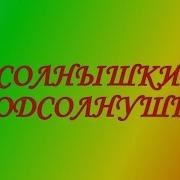 Подсолнушки Мы Маленькие Солнышки